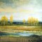 Marsh Lands II Poster Print by Michael Marcon - Item # VARPDX9983